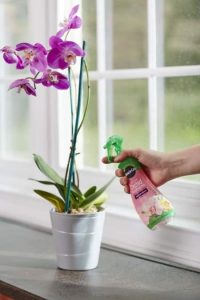 orchid fertilization mist