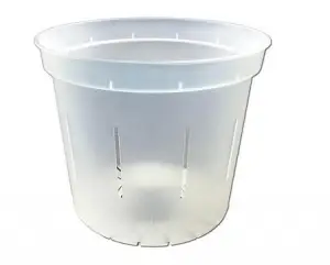clear plastic pot