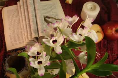 Dendrobium, books, candle and an apple