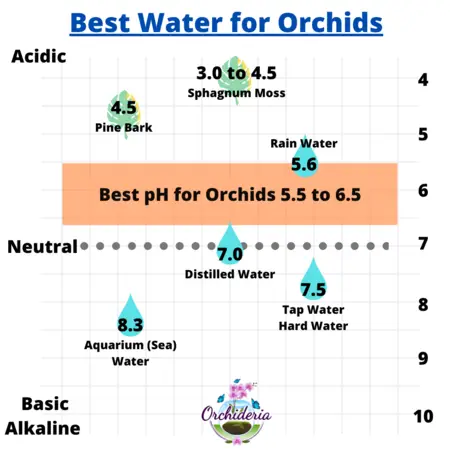 Best Water for Orchids Graph