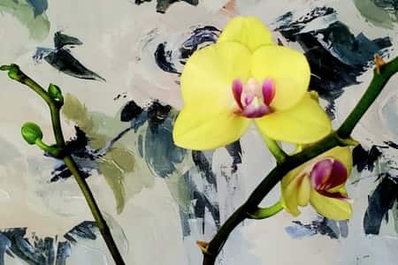 Orchid in Hydrogel