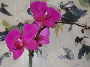 Signs of a Healthy Phalaenopsis