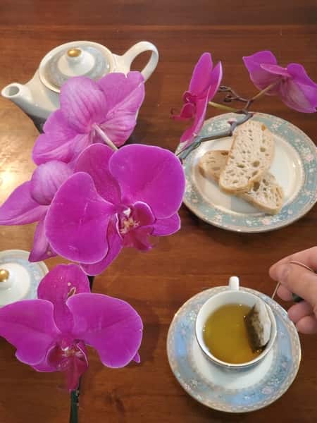 Phalaenopsis Orchid, Cup of Tea, and a Teabag