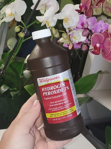 Hydrogen Peroxide for Orchids