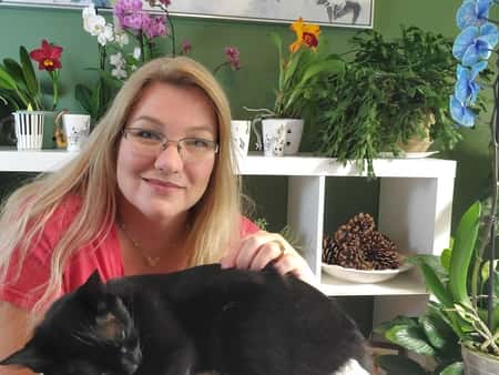 Orchids, Amanda Matthews, and a Cat