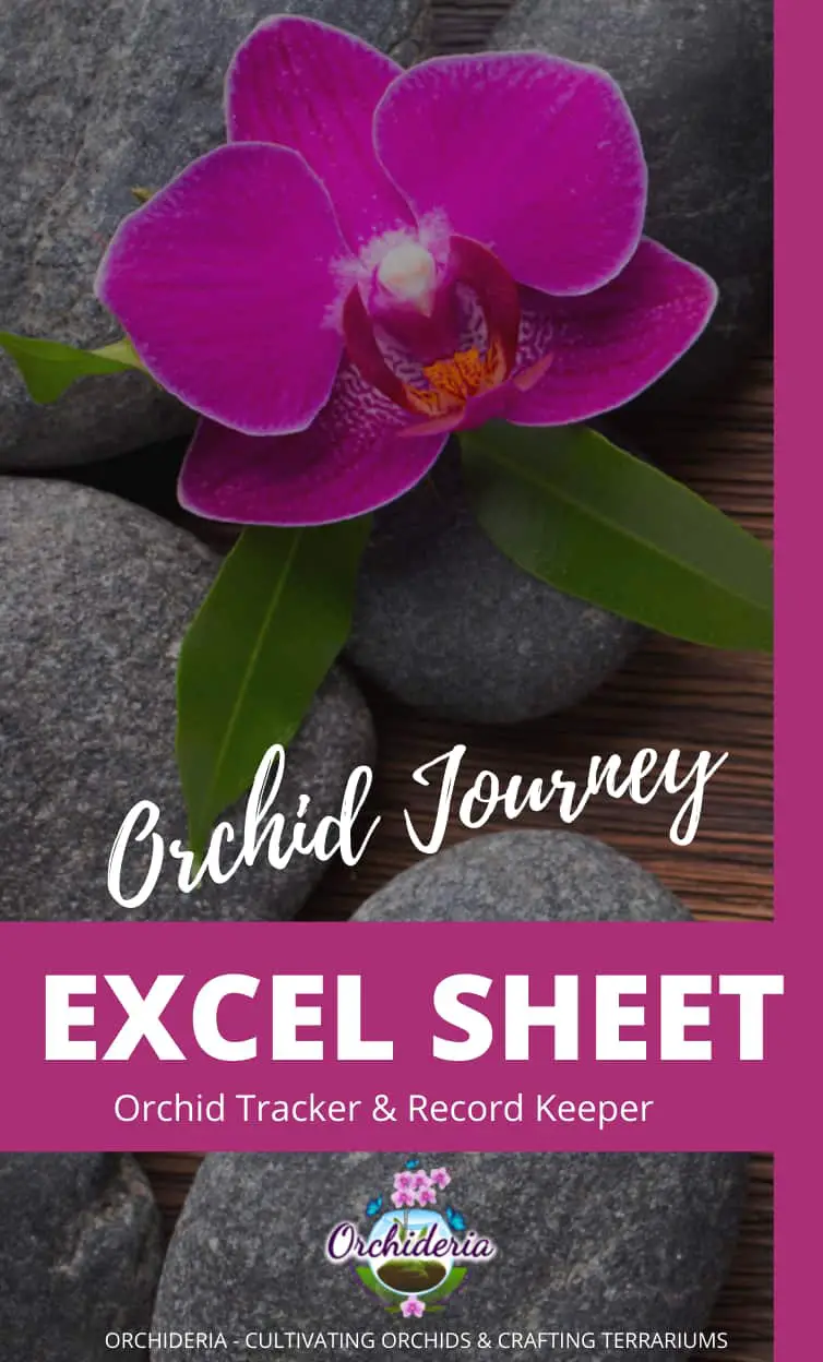 orchid Tracker Excel Sheet