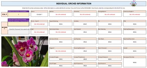 Orchid VLookup Excel