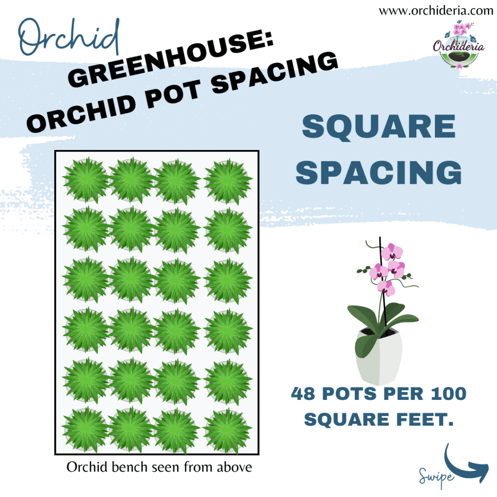 Sqaure Spacing for Orchid Pots